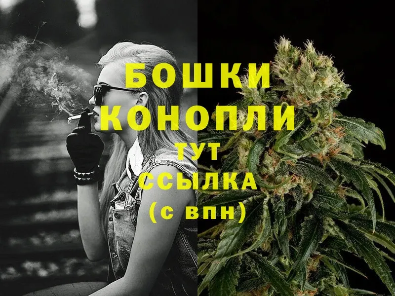 купить наркоту  Кимовск  Бошки марихуана Amnesia 